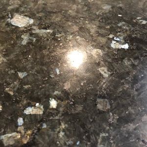 Meet your Posher, Patty